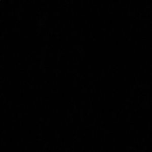 Meet your Posher, Will